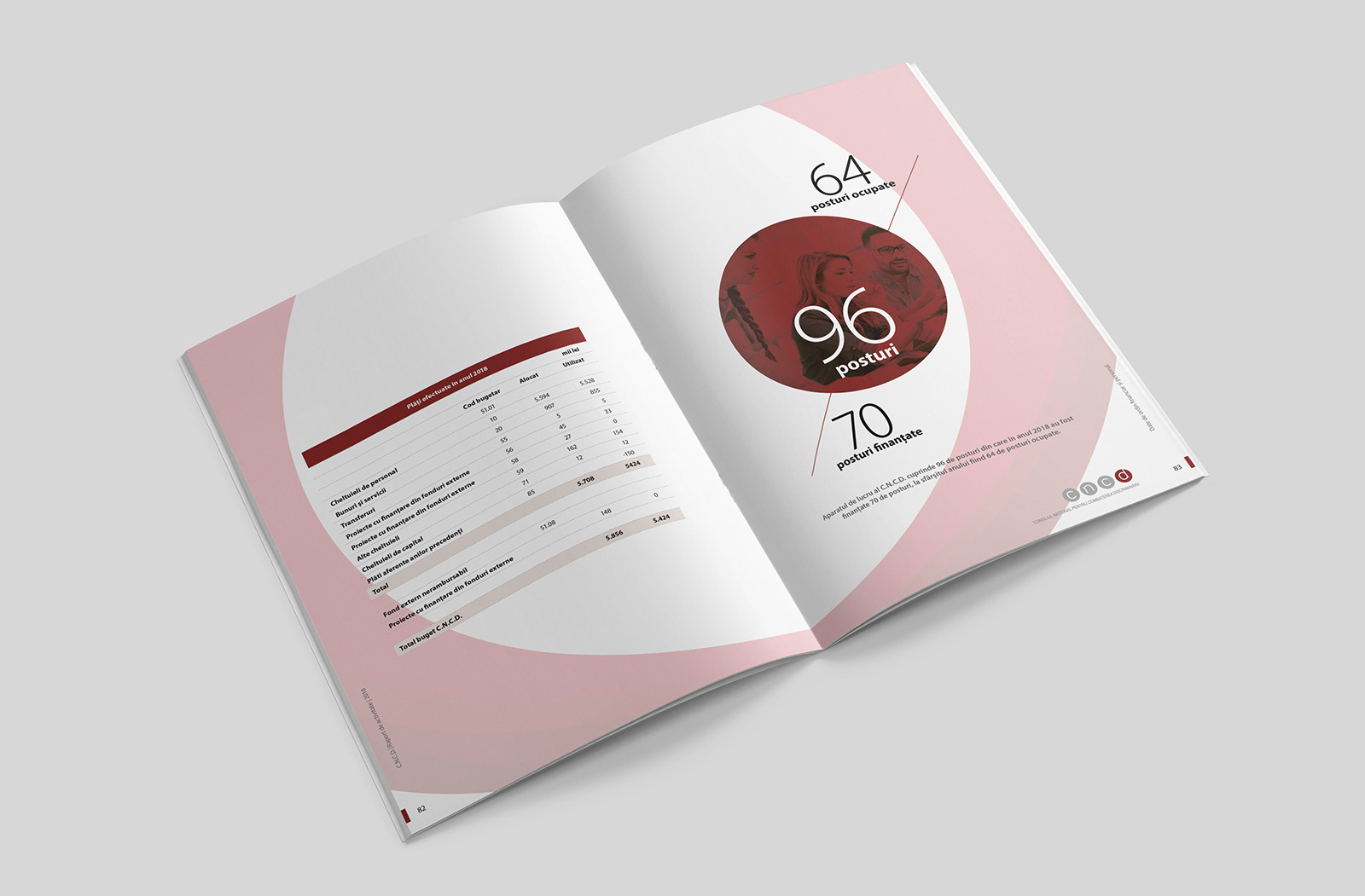 Design grafic brosura raport anual