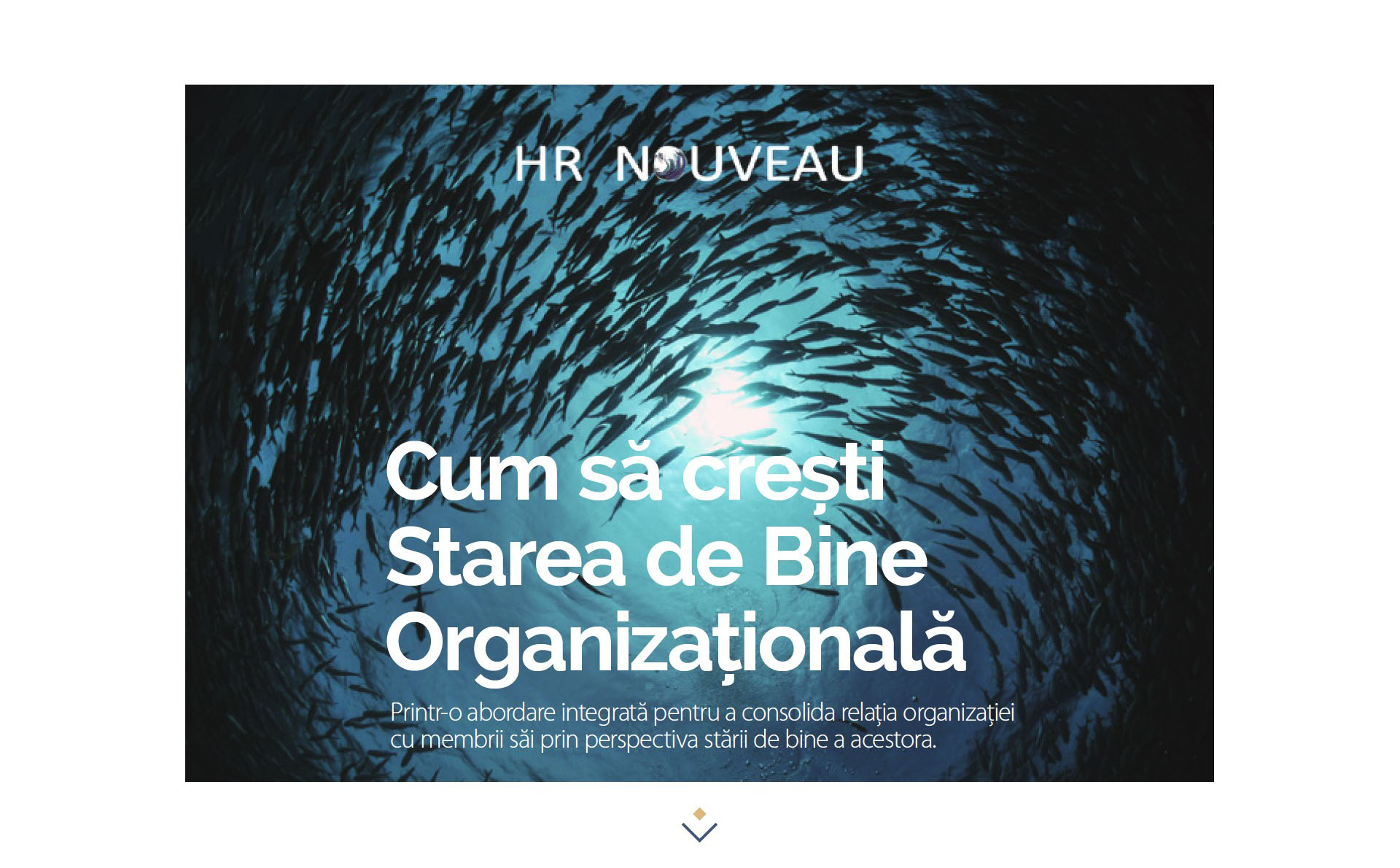brosura interactiva PDF HR Nouveau Starea de bine