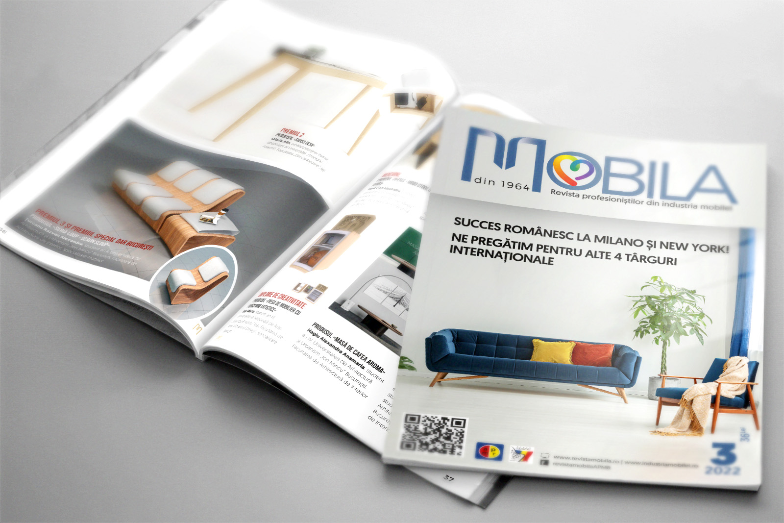 design_grafic_revista_Mobila